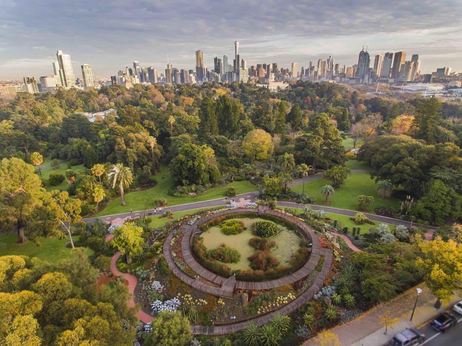 Ботанический Сад в Сиднее