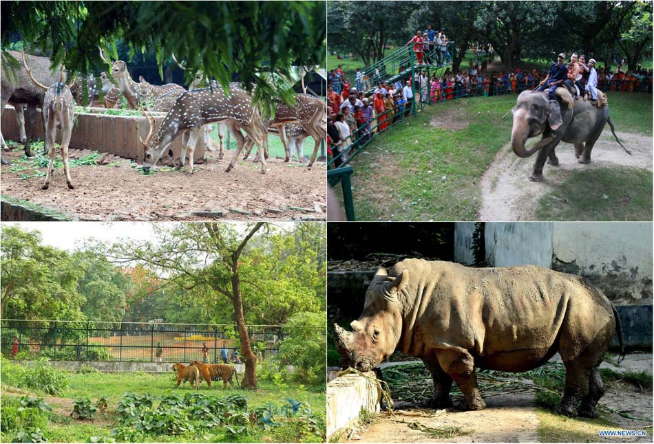 Зоопарк, Дакка