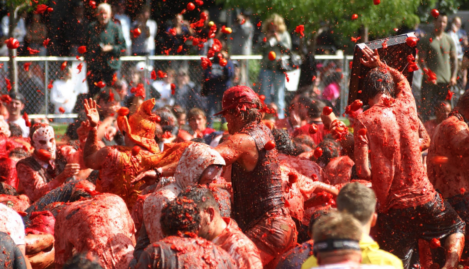 праздник помидоров в испании