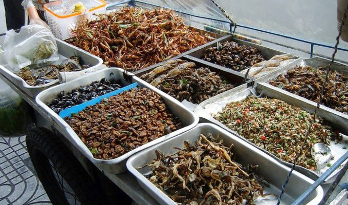 Азиатская экзотическая кухня, правда вкуса экзотических насекомых