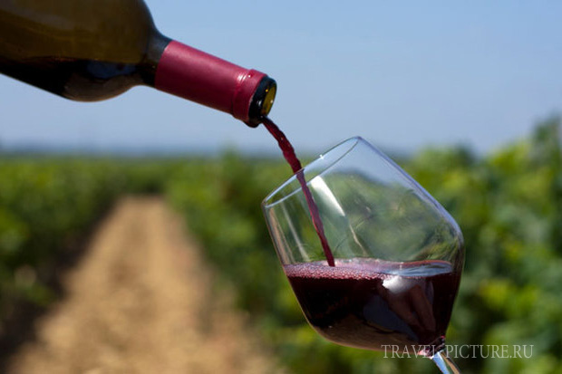 дегустация вина La winery