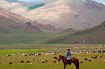 Новые границы открывает безвизовый режим между Монголией и Россией