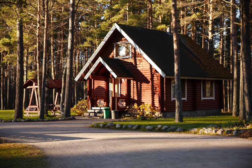 Базы отдыха в Ленинградской области: цены, советы и отзывы — 2024